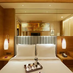 Hotel Ocean Near Delhi Airport, New Delhi